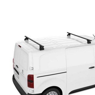 2x Lastentrger fr Peugeot Partner, Citroen Berlingo - DL
