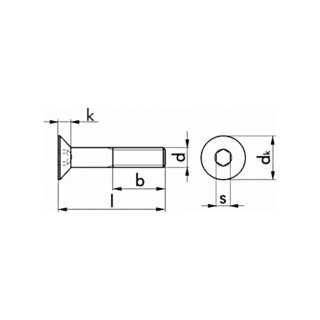 Schraube M5x25 fr Light-Airlineschienen mit Mutter und Scheibe