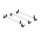 Rhino KammBar Pro Roof Rack for Ford Transit Custom II (2024+)